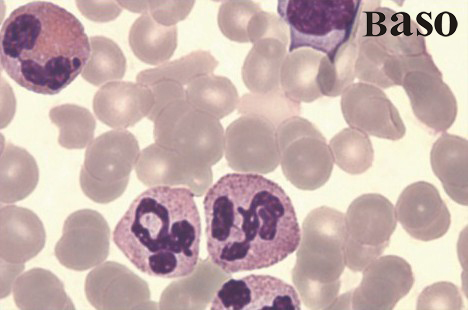 �Ϸ���ټ���ȾɫҺ/diff-quik ȾɫҺ